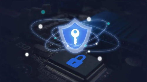 网络安全防护示意图