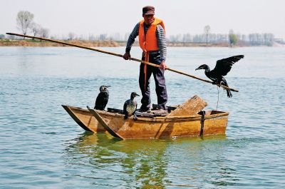 千岛湖渔民夏季捕鱼现场
