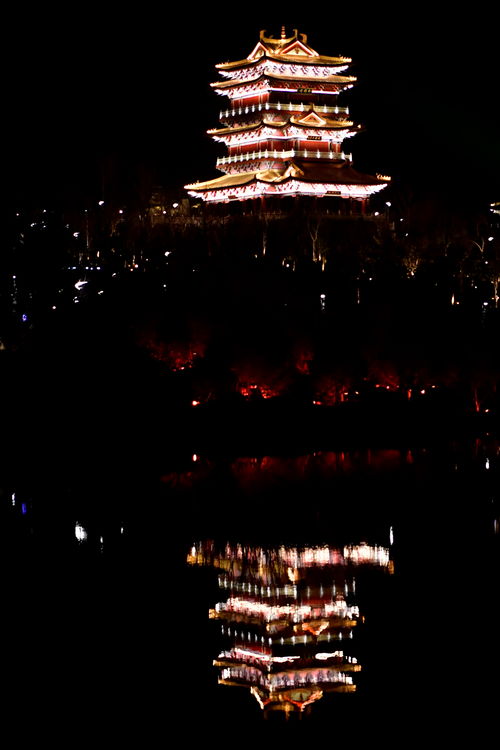 获奖证书与灯光璀璨的城市夜景