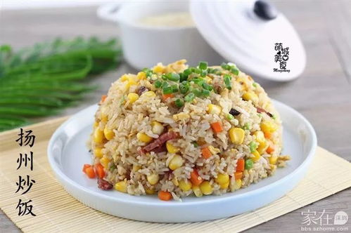 一碗苏州凉面和一份扬州炒饭并排摆放