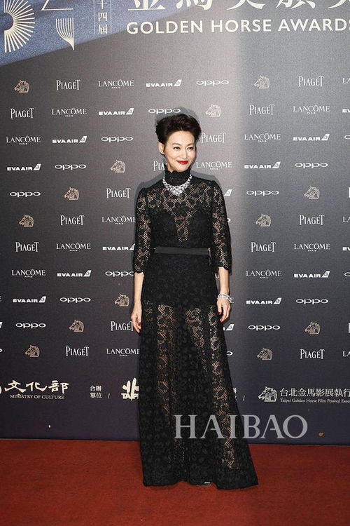 惠英红在金马奖颁奖典礼上的照片