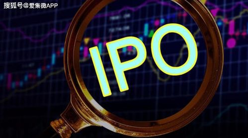 荣耀IPO辅导备案公告截图示意图