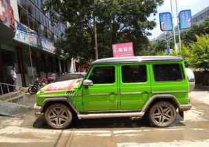 豪车租赁骗局频发，车主崩溃：车没了钱也没了！