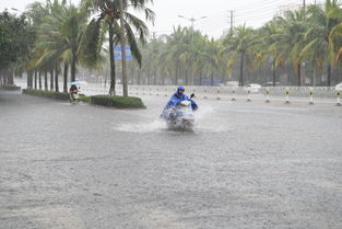 成都居民冒雨出行