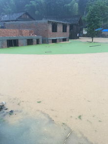 乡亲们接力送饭，榕江灾区一线温暖不断｜挺住！我们在一起