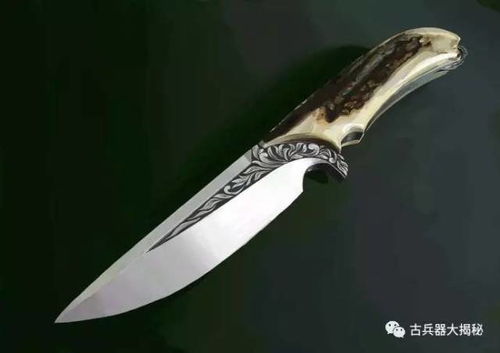 郑志龙手持军用匕首展示刺杀动作