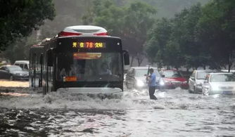 成都的雨下到了全国第一？我亲历这场“湿透”的城市奇观