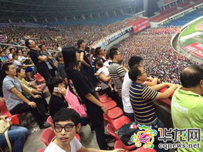 花样新“夜”态点燃夏日文旅新引擎，我的夜游打卡日记来了！