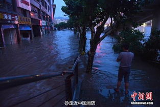 暴雨中的城市街道<br><br>