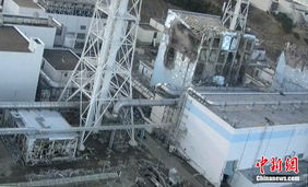 重磅！海关总署宣布有条件恢复日本水产品进口，背后真相你必须知道