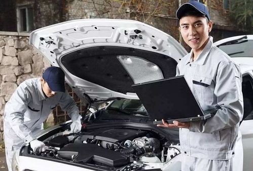 迈凯伦车队在维修区忙碌工作