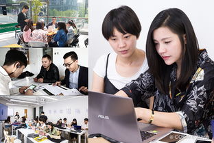 财经专业学生课堂学习