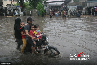 巴基斯坦暴雨引发洪水