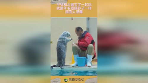 爷爷与孩子一起玩耍的温馨画面