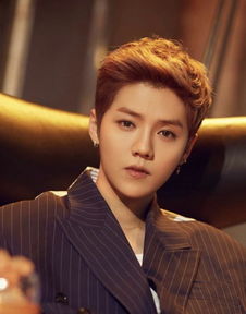 邓超在节目中谈论鹿晗事件