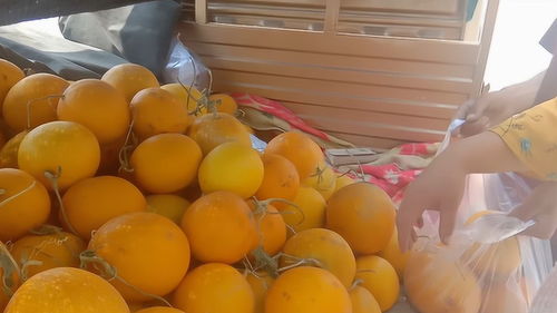 偶遇已故同学父亲，女子买光摊上香瓜：一段关于遗憾与温暖的邂逅