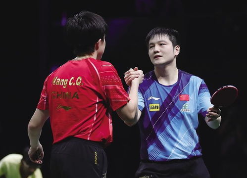 樊振东与波尔握手致意