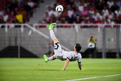 抖音热门评论截图