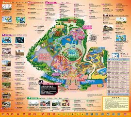 中华恐龙园游客排队场景