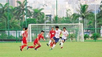 草根球员在田野间踢球