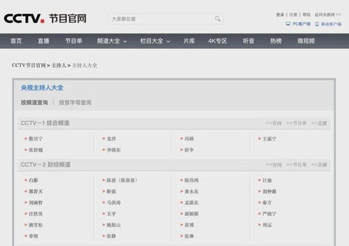 CCTV13新闻频道郑新宇主持画面