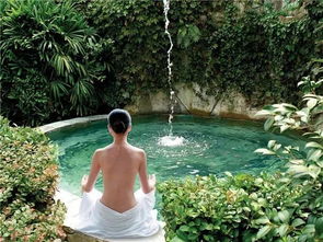 一头野牛跌入温泉的瞬间