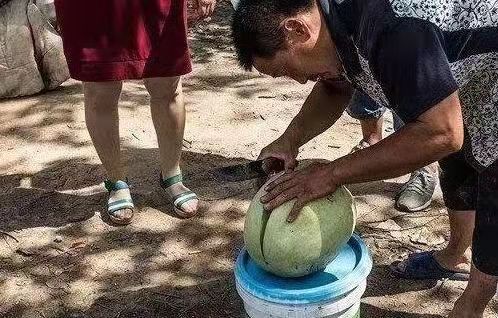 女子偶遇已故同学父亲摆摊卖瓜，买下全部瓜只说一句：我们都还记得他