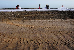 戈壁滩上的电力工人