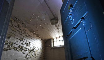 案件相关资料<p>据调查，董英直在任职期间通过复杂的关联交易、虚假贷款等手段，长期挪用和侵占银行资金。最终东窗事发，不仅个人锒铛入狱，也让整个银行系统蒙羞。</p><br><h2 id=