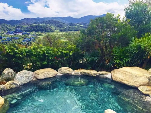 一群人正在山间的温泉边拍照