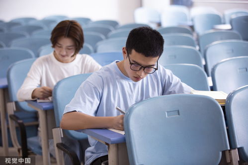 社交媒体关于虐猫考生的评论截图