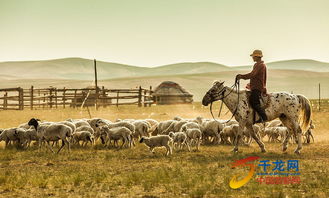 新疆伊犁草原上的牧民生活