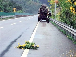 广州男子开车看手机撞人致3死3伤：一场本可避免的悲剧