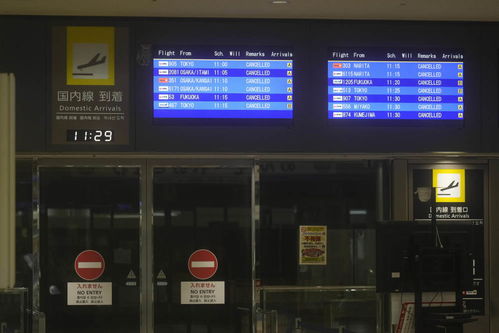 机场大屏幕显示航班取消信息