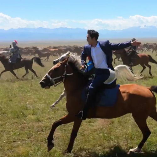 网友在评论区使用特马表情包互动