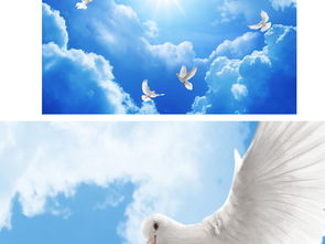 和平鸽飞翔在蓝天白云之间