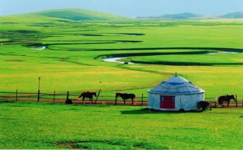 海底海草随波摇曳宛如草原