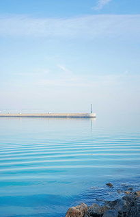 烟台海面变“草原”了？亲眼所见才敢信，这波视觉盛宴太震撼！