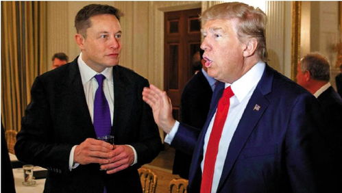 特朗普或考虑将马斯克驱逐出境？一场权力与资本的博弈正在上演