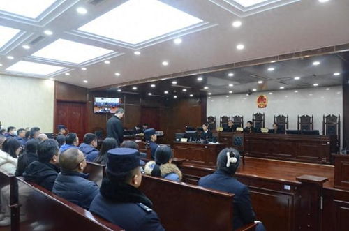 《以法之名》庭审现场画面截图