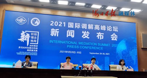 国际调解人员会议场景