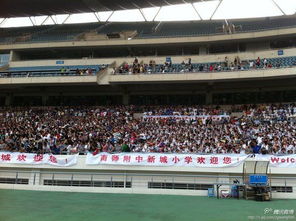 球迷在南京奥体中心欢呼场景