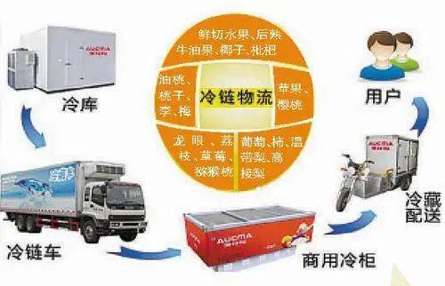 荔枝运输过程中的冷链设备