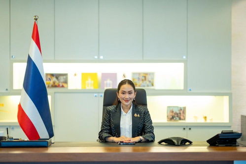 佩通坦在会议上发言