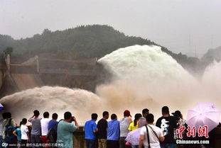洛阳小浪底父子俩在雨中合影