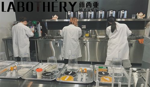 AI科学家在实验室调试模型