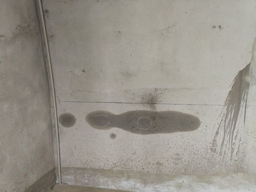 房屋漏水现场照片