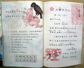 年轻人翻阅旧课本回忆过去