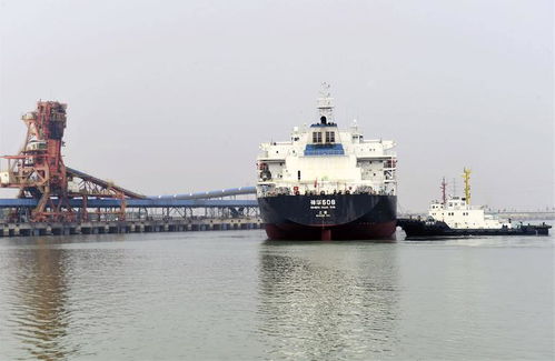 大型船舶停靠港口