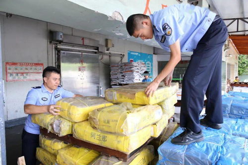 冷冻仓库里堆放的白条鸭